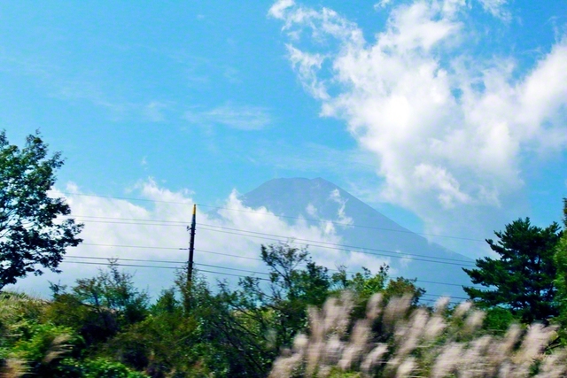 雲の間から堂々とそびえ立つ富士山が見え、手前ではススキが風にゆれています。池田先生が車の中からさつえいしました（2018年8月、山梨で）。先生は、どんな時も少年少女部のみんなの成長を祈り、“富士のように「大きく強い心」を！”とエールを送りました