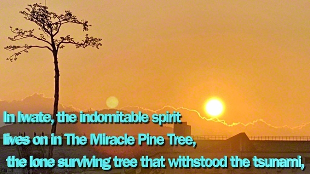 岩手のアピール