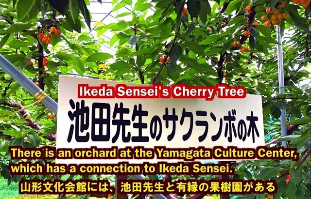 山形のアピール