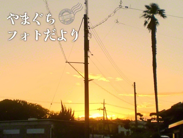 1日の終わりに、ゆっくりと沈む夕日を眺めた（宇部市、笹原晋一通信員）