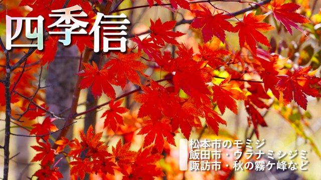 ※エラーになってしまう時はYoutubeでご覧ください