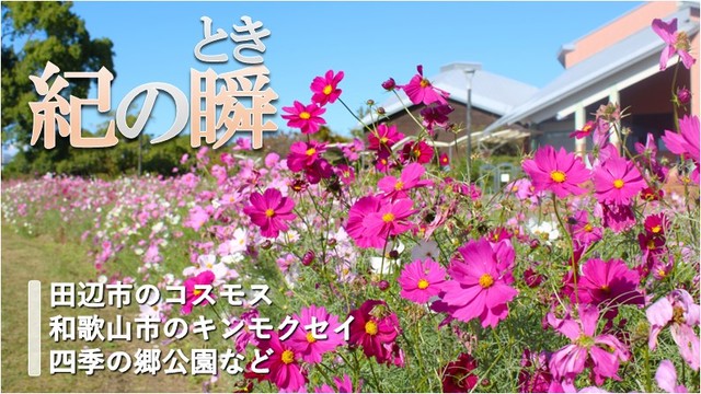 ※エラーになってしまう時はYoutubeでご覧ください