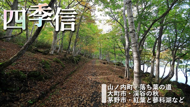 ※エラーになってしまう時はYoutubeでご覧ください