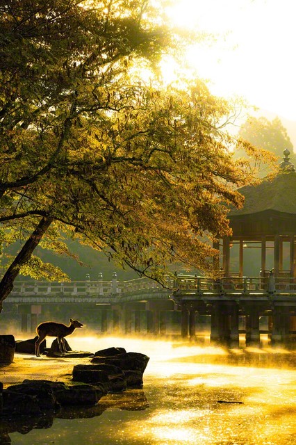 奈良市＝記者撮影