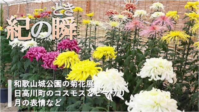 ※エラーになってしまう時はYoutubeでご覧ください