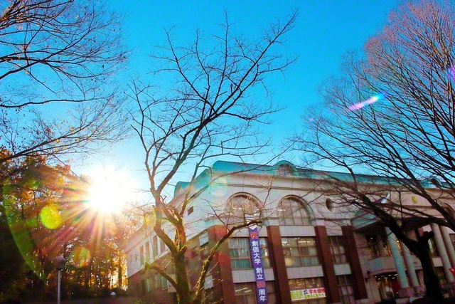 木々の向こうから温かな太陽の光が差し込んでいます。2021年12月、創価大学を訪れた池田先生が撮影しました（東京・八王子市で）。先生は、曇りの日も嵐の日も、毎日昇る太陽を通して、“自分が太陽になれば、今どんな悩みがあっても、「朝」が来ないわけがない”と未来部にエールを送っています