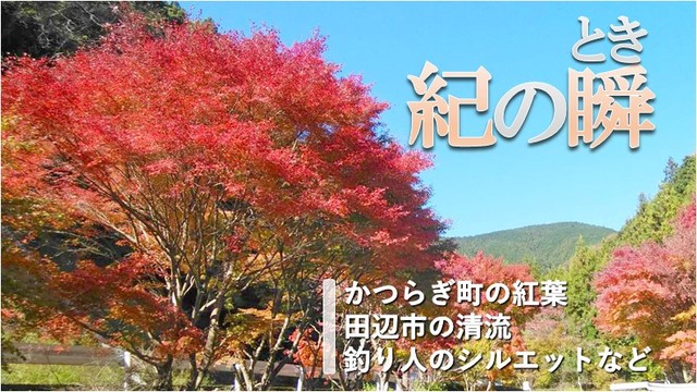 ※エラーになってしまう時はYoutubeでご覧ください