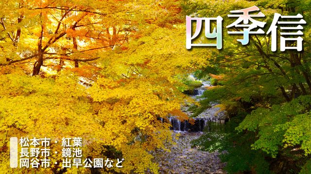 ※エラーになってしまう時はYoutubeでご覧ください