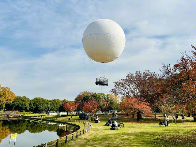 大仙公園（12月1日、堺市堺区、日比千代通信員）