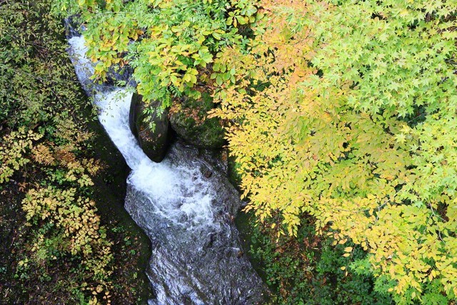 上から眺める「つめたざわがわ」（11月1日、長野市、小林充通信員）