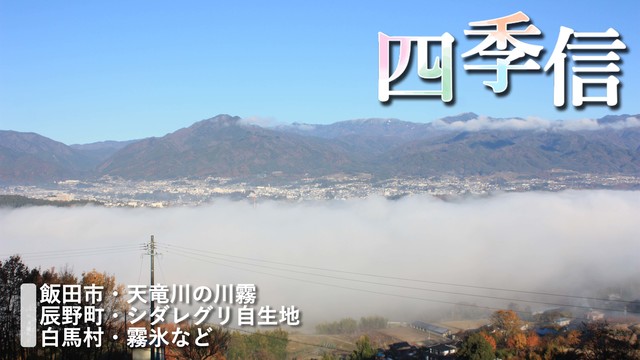 ※エラーになってしまう時はYoutubeでご覧ください