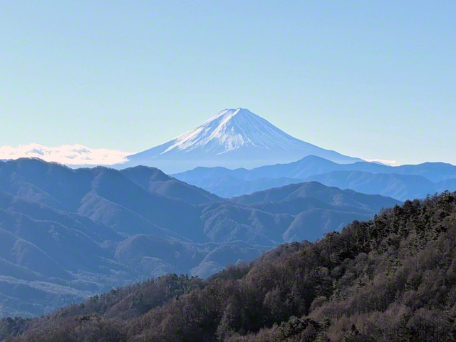 柳沢峠から望む雄大な富士山。男子部時代、この峠を越えて、氷川東京青年研修道場で行われた会合に参加した思い出が、よみがえりました。揺るぎなく、師弟の道に生きようと決意を新たにしました（19日、甲州市、内藤秀明）