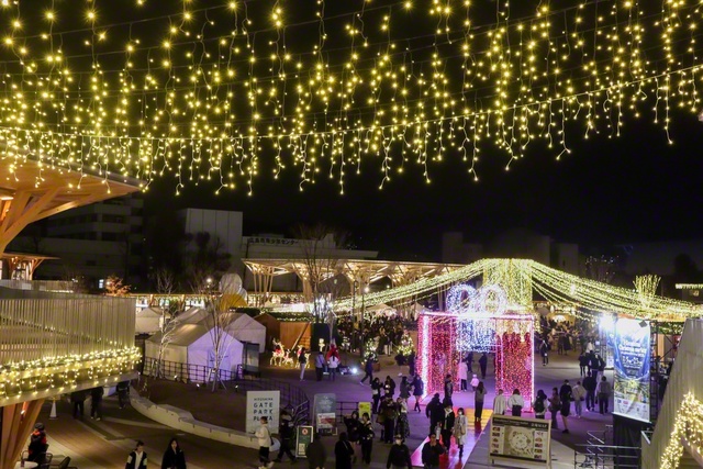 無数のイルミネーションに彩られた「ひろしまゲートパーク」（広島市中区、浅田洋子通信員）