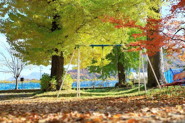 柔らかな秋の日差しとブランコ（11月16日、須坂市、小林充通信員）