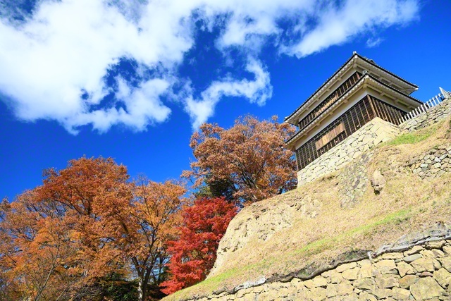 青空輝く上田城跡公園（11月22日、上田市、小林充通信員）