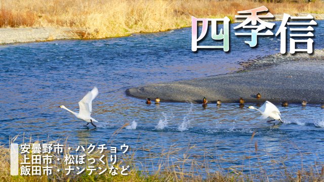 ※エラーになってしまう時はYoutubeでご覧ください