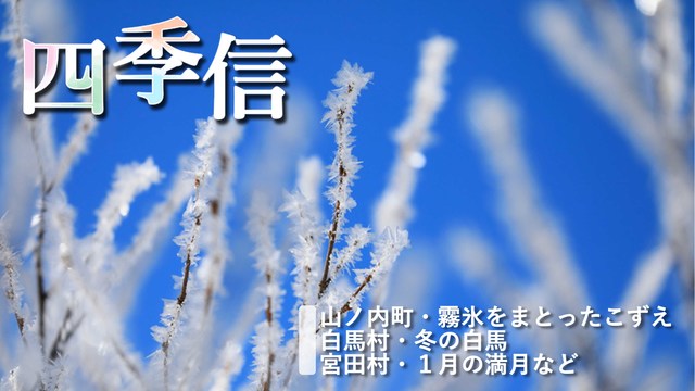 ※エラーになってしまう時はYoutubeでご覧ください