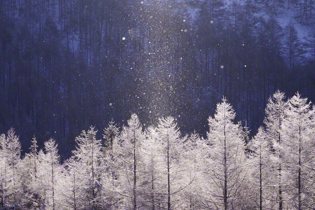 ダイヤモンドダストのきらめき（1月3日、諏訪市、小松恵三通信員）