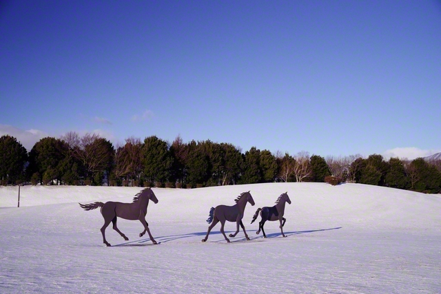 馬のオブジェ。雪の中をさっそうと駆けるように（1月12日、塩尻市、小松恵三通信員）