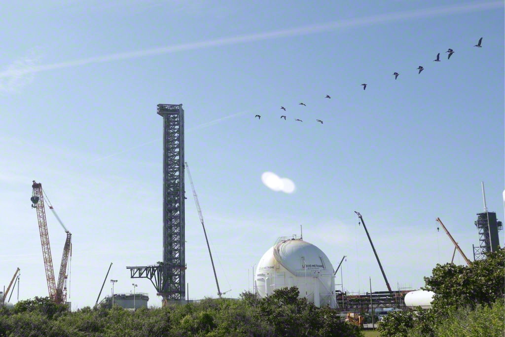 施設の敷地内には、ペリカンなどの野鳥も飛来する