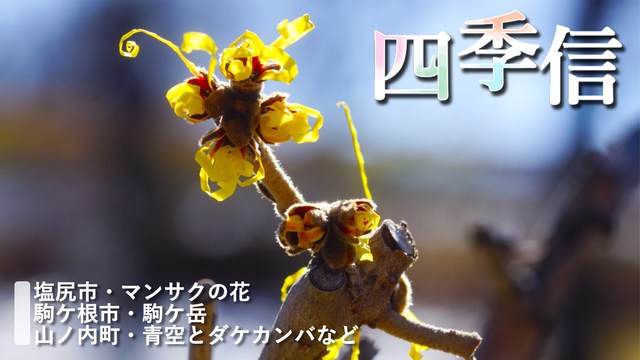 ※エラーになってしまう時はYoutubeでご覧ください