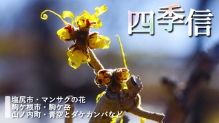 ※エラーになってしまう時はYoutubeでご覧ください