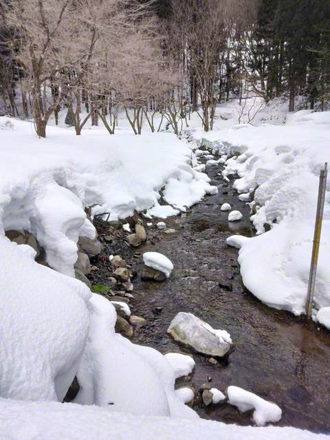 玉簾の滝に向かう途中で