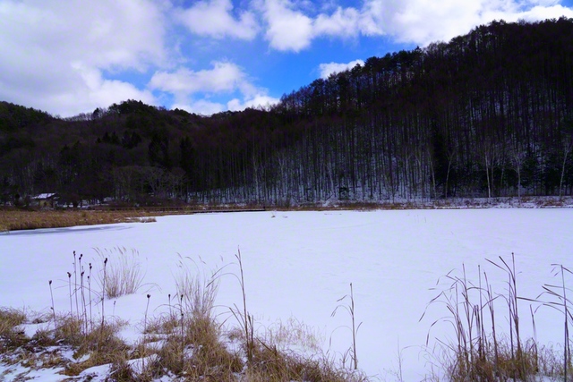 雪色に染まるあやめ公園池（1月23日、木祖村、森田昭治通信員）