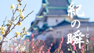 ※エラーになってしまう時はYoutubeでご覧ください