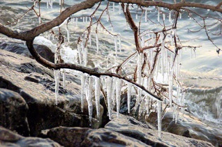 1月23日、草津市内で（前崎隆夫通信員）