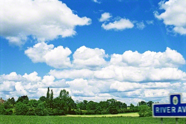 真っ青な空にモクモクと浮かぶ白い雲。手前には、青々と茂る草木が。1994年6月、イギリスを訪れた池田先生は、のどかな自然を前にシャッターを切りました。この日、先生は、信念に生きるイギリスのチャールズ皇太子（現・国王）と会見し、建築や文学、教育などを語り合いました