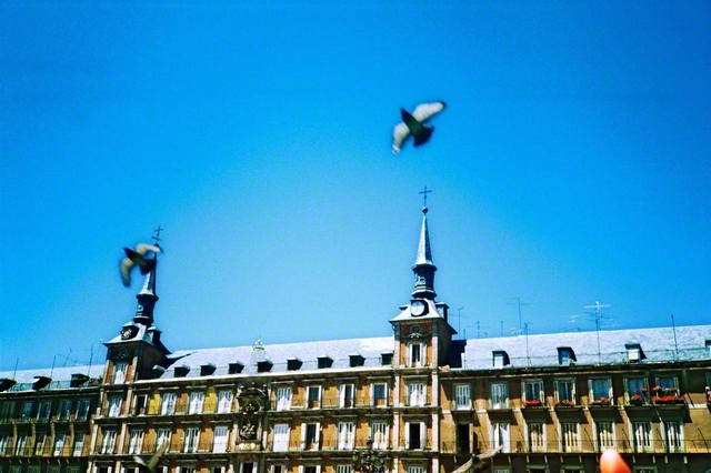 1983年6月、同志の激励のため欧州を歴訪していた池田先生は、スペイン・マドリードへ。先生が立ち寄ったマヨール広場は、17世紀に建設され、王家の儀礼や闘牛、祭りの舞台となってきた歴史ある場所です。鳥たちが大空へ飛び立つ瞬間を先生はカメラに収めました