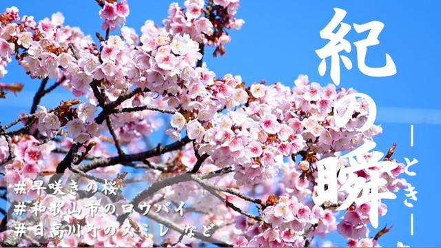 ※エラーになってしまう時はYoutubeでご覧ください