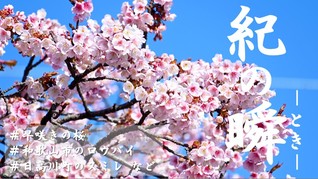 ※エラーになってしまう時はYoutubeでご覧ください