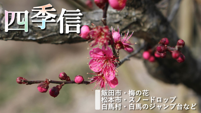 ※エラーになってしまう時はYoutubeでご覧ください