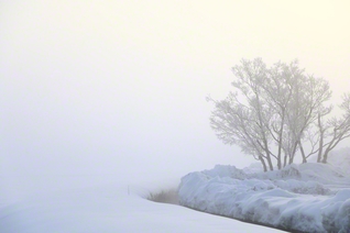 濃霧の朝（2月4日、飯山市）