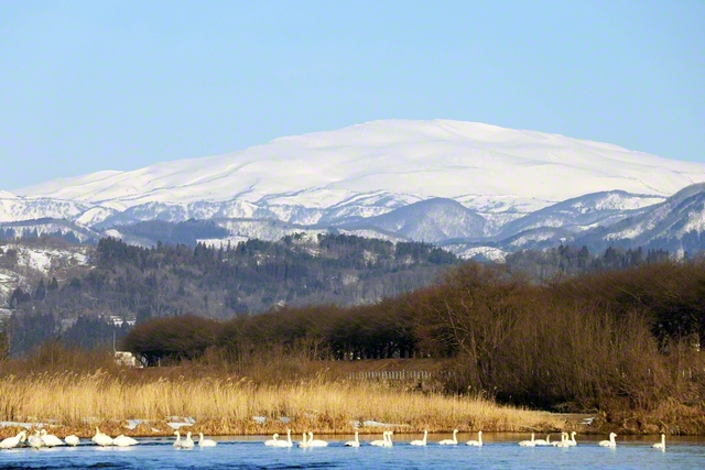 白雪の月山がそびえる