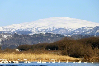 白雪の月山がそびえる