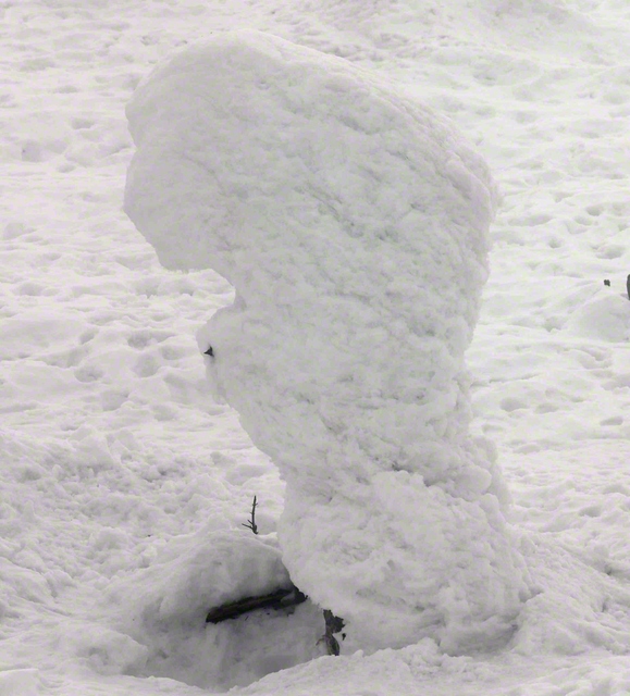樹氷に近づこうと歩みを進めると……ズボッ！？　太ももまで、雪の中に埋もれました（汗）