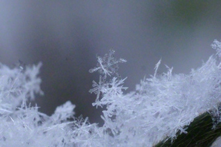 雪の結晶（2月3日、松本市、森田昭治通信員）