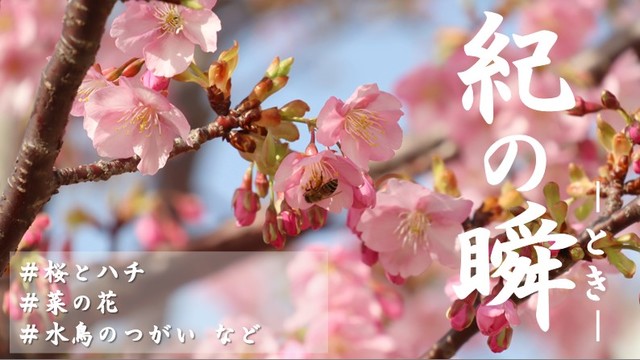 ※エラーになってしまう時はYoutubeでご覧ください