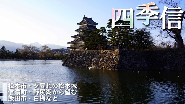 ※エラーになってしまう時はYoutubeでご覧ください