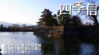 ※エラーになってしまう時はYoutubeでご覧ください