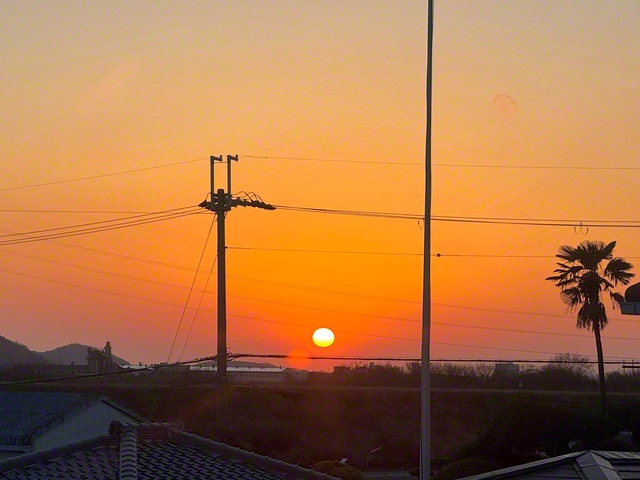 夕日が辺りを赤く染める（2月20日、岩出市、宮本要代通信員）