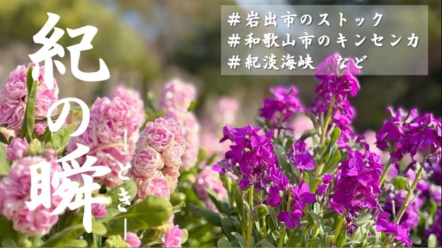 ※エラーになってしまう時はYoutubeでご覧ください