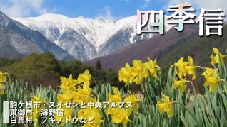 ※エラーになってしまう時はYoutubeでご覧ください