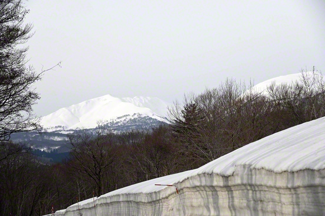 白雪の月山がそびえる（18日、西川町で）