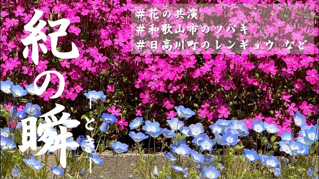 ※エラーになってしまう時はYoutubeでご覧ください