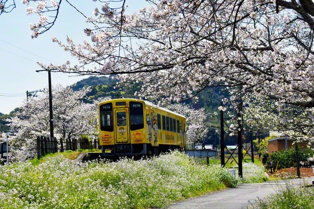 浜松市浜名区三ケ日町で、幸田純勝通信員