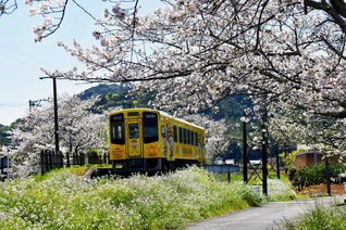 浜松市浜名区三ケ日町で、幸田純勝通信員